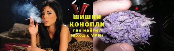 трава Аркадак