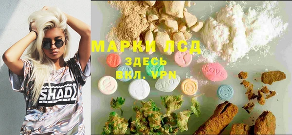 трава Аркадак