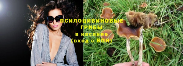 mix Армянск