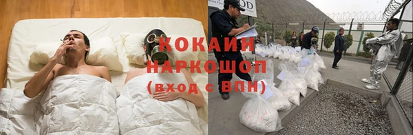 трава Аркадак