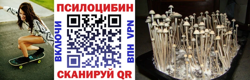 Галлюциногенные грибы прущие грибы  Темрюк 